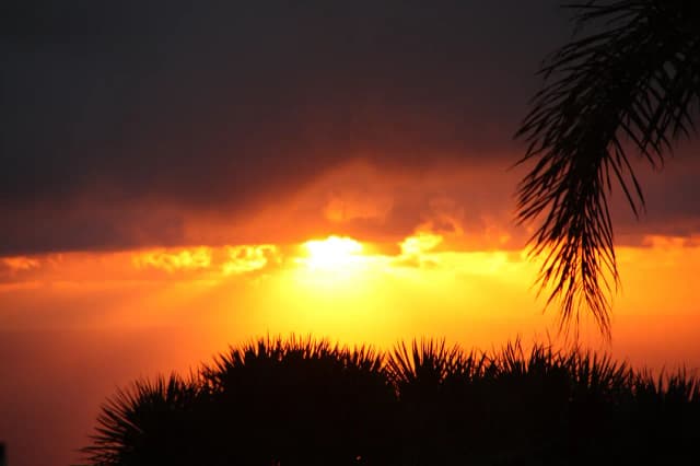 community cover icon