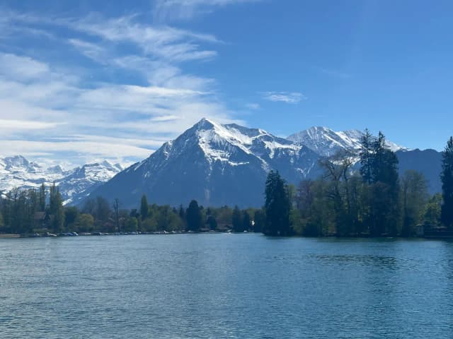 community cover icon