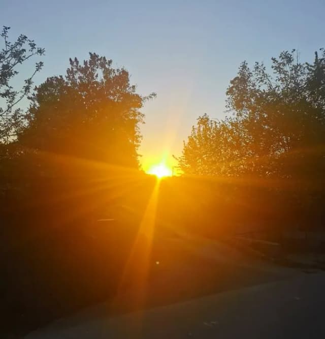 community cover icon